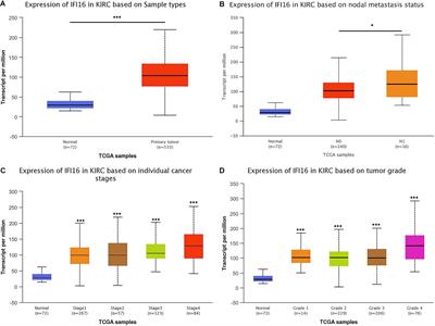 IFI16 Can Be Used as a Biomarker for Diagnosis of Renal Cell Carcinoma and Prediction of Patient Survival